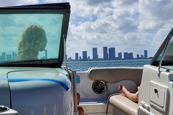 Fully Private Speed Boat Tours, VIP-style Miami Speedboat Tour of Star Island! - Wildlife on Biscayne Bay: dolphins, manatees, rays, and iguanas