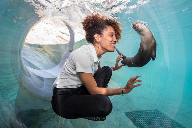 Go City: Miami All-Inclusive Pass with 25+ Attractions and Tours - The far-reaching problem: Orlando, Key West, Kennedy, Daytona, and big travel days