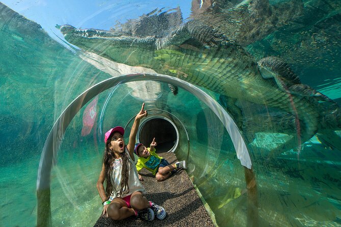 Go City: Miami Explorer Pass - Choose 2, 3, 4 or 5 Attractions - How the digital pass really works (and where trips can go sideways)