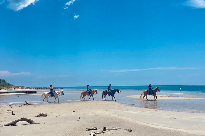 Guided Horseback Riding on The Pristine Waters of Miami Florida - Key things that make this ride worth your time