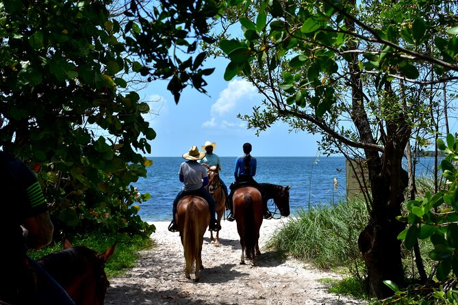 Guided Horseback Riding on The Pristine Waters of Miami Florida - Historic Virginia Key Beach Park to a Pristine Miami Beach