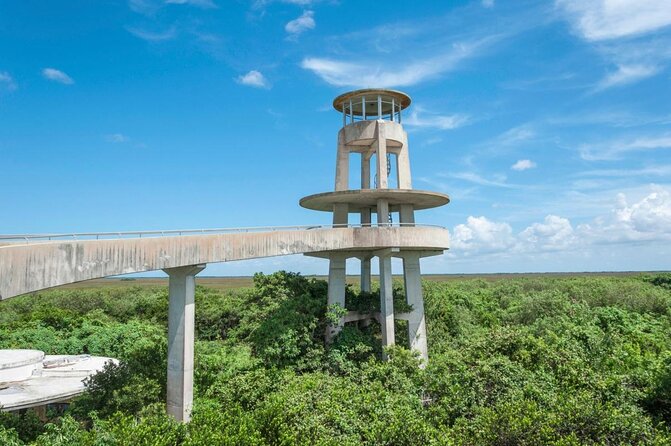 Half-day Everglades National Park Tour and 1-Hour Air Boat Ride - Key highlights that make this tour worth your time