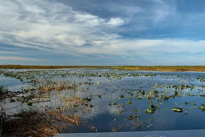 Half-day Everglades National Park Tour and 1-Hour Air Boat Ride - Tamiami Trail scenic drive: the lesson ride between the big moments