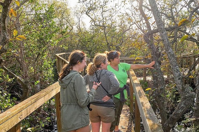Half-day Everglades National Park Tour and 1-Hour Air Boat Ride - Who should book this (and who should think twice)