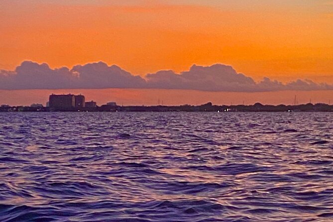 Half-Day Private Guided Sailing Adventure of Miami's Biscayne Bay - Biscayne National Park: wildlife spotting and sunset potential