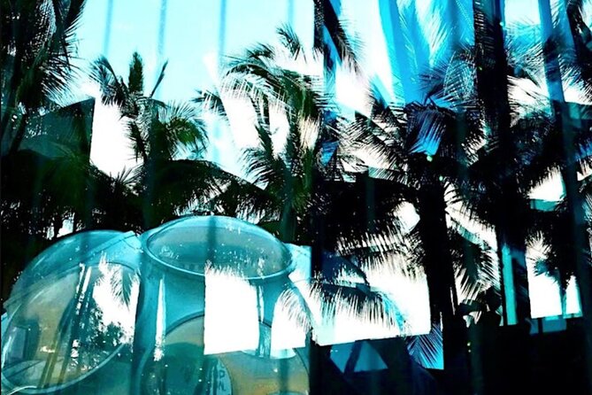 Hidden World of Miami Design District - small group tour! - Practical Tips to Make Your Walk Feel Easy
