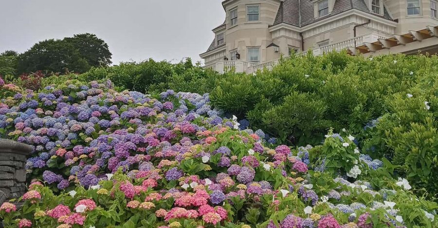 Historic Highlights of Newport,RI with with the Gilded Age - Millionaires Row on Bellevue Avenue: The Gilded Age on Display