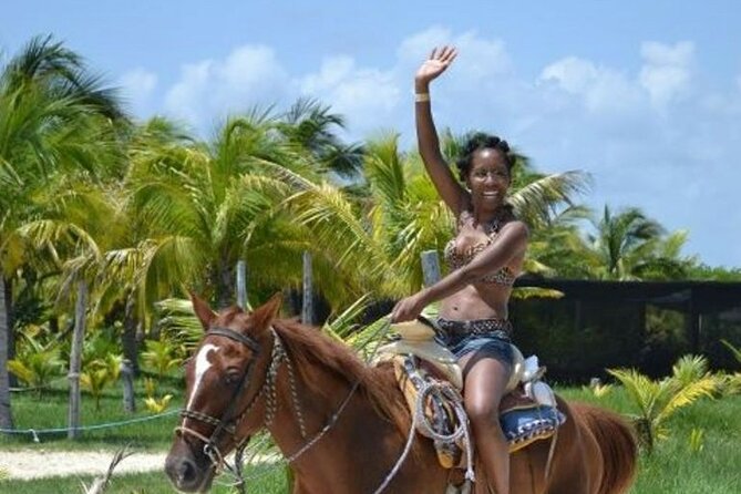 Horse Riding in Miami's Countryside - The 1-Hour Flow: Check-In, Waiver, and Getting Comfortable