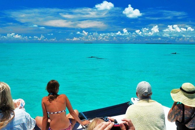 Key West Day Trip from Miami with Activities - The Seven Mile Bridge stop: the photo break that changes the mood