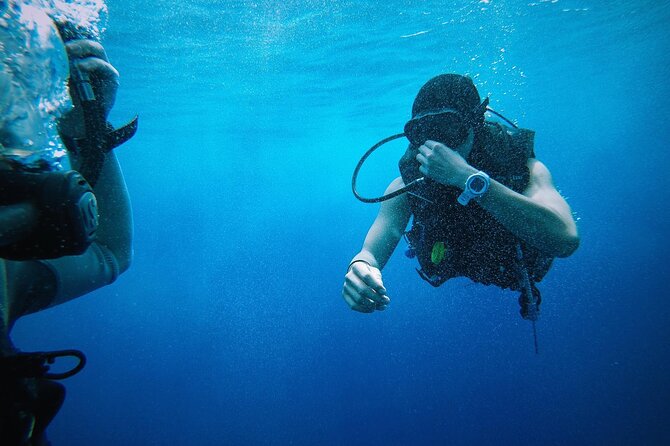 Key West from Miami with Snorkeling, Drinks and Hard Rock Cafe Meal - Snorkeling Readiness: Getting the Most From Limited Time