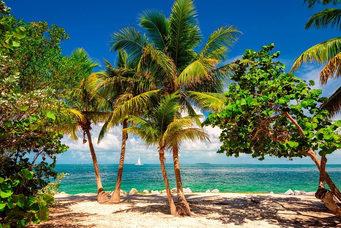 Key West Sail and Snorkel with Hotel Transportation from Miami - Drinks After Snorkeling: A Nice Touch for the Ride Back
