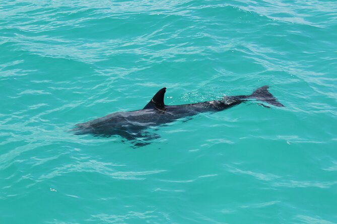 Key West Tours from Miami: Dolphin Discovery, Snorkeling & More ! - Jet Ski add-on notes: storage, water sense, and what to bring