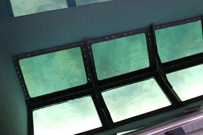Key West Tours from Miami: Dolphin Discovery, Snorkeling & More ! - Who this tour fits best (and who should pass)