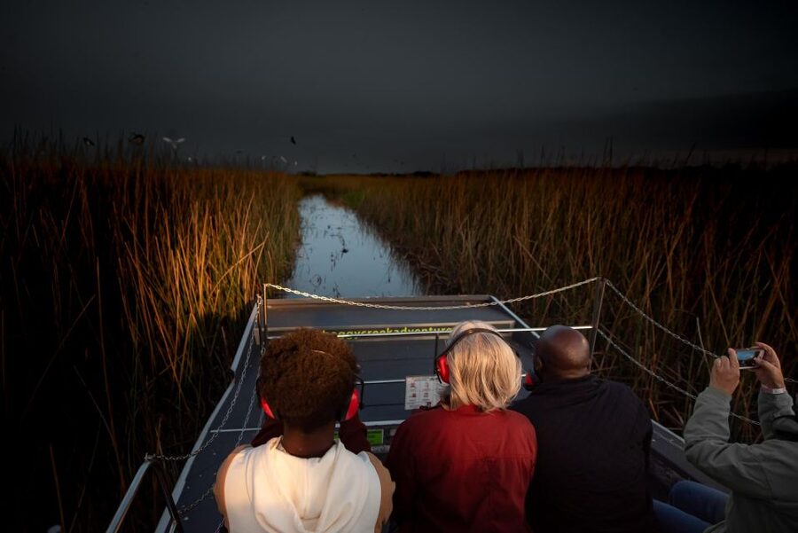 Kissimmee: Boggy Creek Airboats Adventures Night Tour Ticket - What You’ll See: Alligators in Their Natural Habitat