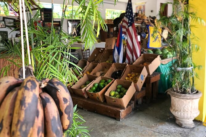 Little Havana: Authentic Food and Culture Walking Tour - Cigar rolling and Cuban coffee demonstrations: small theater, big payoff