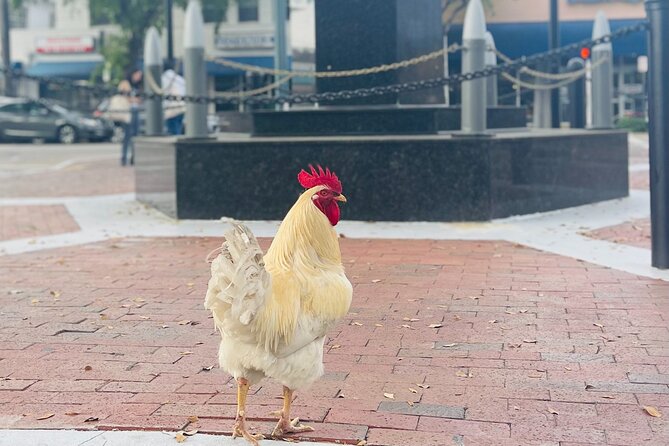 Little Havana Walking Tour with Optional Lunch or Rum Upgrade - Where the tour begins: Bay of Pigs Monument to Domino Park