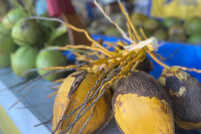 Little Havana Walking Tour with Optional Lunch or Rum Upgrade - The tour pace and how to finish strong at Domino Park