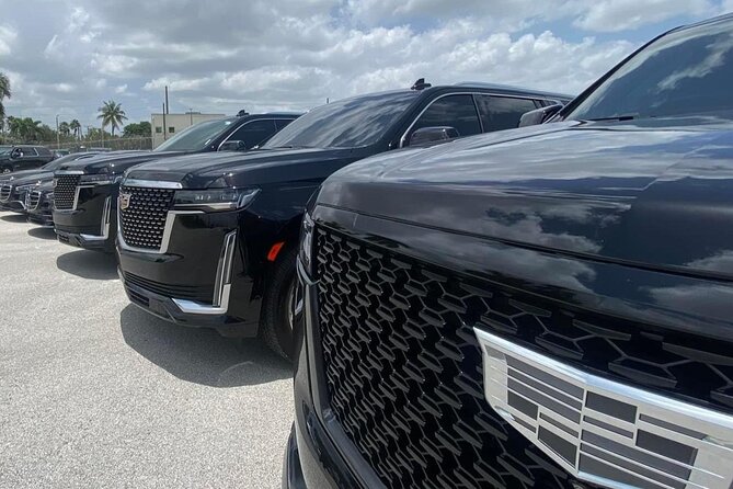 Luxury Transfer From Port of Miami to Miami and Fort Lauderdale - From Ship to Car: The 35-Minute Customs Reality Check
