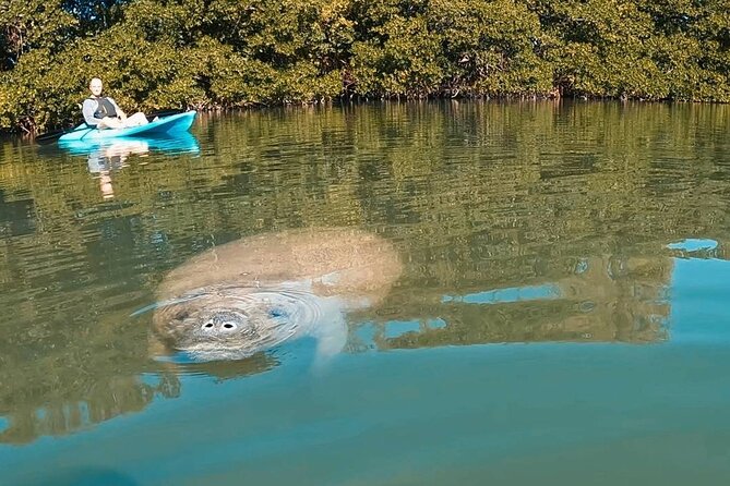 Manatee Season Guided Paddle Tour from Virginia Key - Lamar Lake + Biscayne Bay + the Atlantic: how the route stays fun