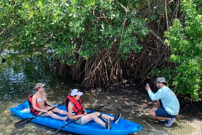 Manatee Season Guided Paddle Tour from Virginia Key - Timing, pace, and fitness: how hard is this really?