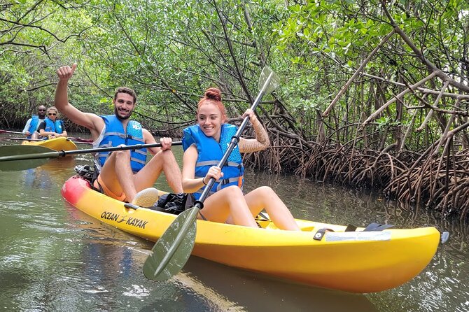 Mangrove Jungle Exploration on SUP/Kayak - What the Mangrove Jungle Really Teaches You