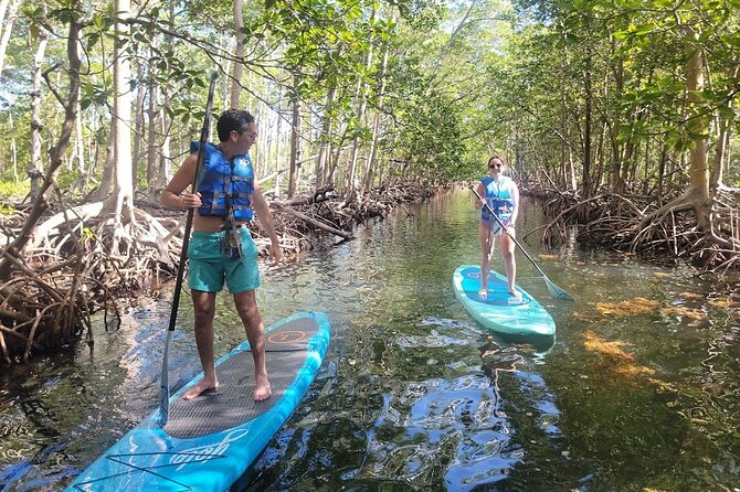 Mangrove Jungle Exploration on SUP/Kayak - The Pace: How the 3 Hours Feels on Water