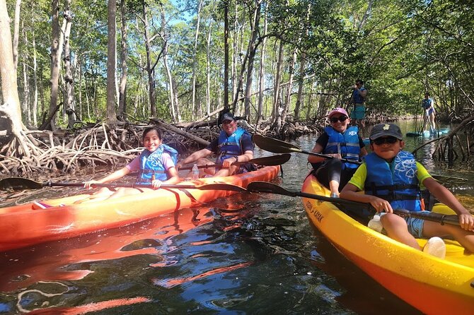 Mangrove Jungle Exploration on SUP/Kayak - Sandspur Island (Raccoon Island): The Best Stop