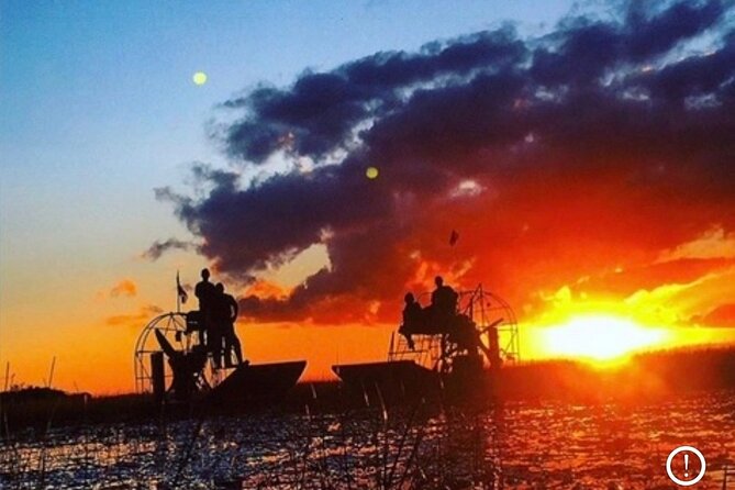 Miami: 60 Minute Private Everglades Airboat Ride - The 60-minute flow: how the hour is paced for real viewing