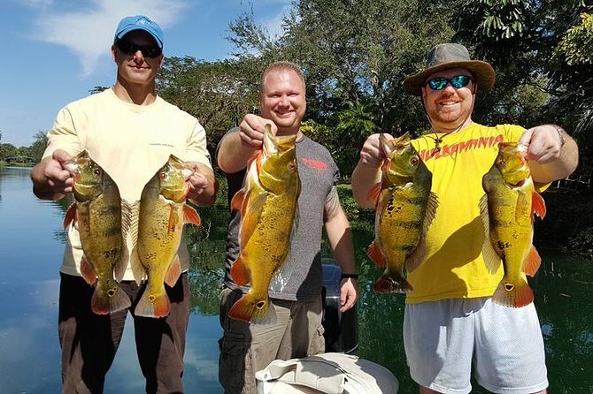Miami Airport Lakes Peacock Bass Fishing Trip (1 to 4 ppl) - Airport Lakes near Miami International: why this beats a typical “fishing day”