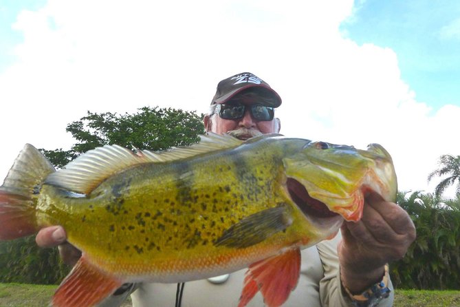 Miami Airport Lakes Peacock Bass Fishing Trip (1 to 4 ppl) - How the captain-led 21-foot boat time feels (and what you control)