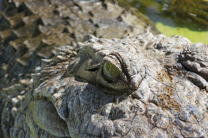 Miami and Everglades Adventure: Airboat & Bay Cruise Combo - Biscayne Bay from Bayside Marketplace: The Miami Views That Actually Feel Like Miami