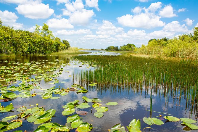 Miami and Everglades Adventure: Airboat & Bay Cruise Combo - Millionaire’s Row and Port Views: What to Look For During the Cruise