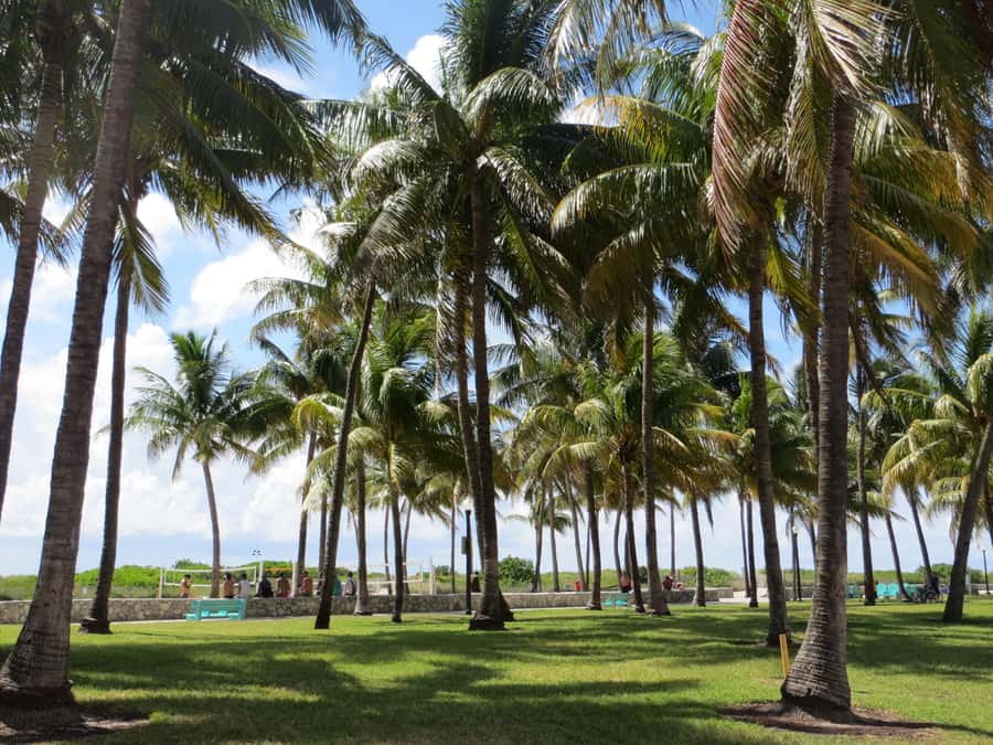Miami Beach: 1-Hour Segway Glide - FAQ