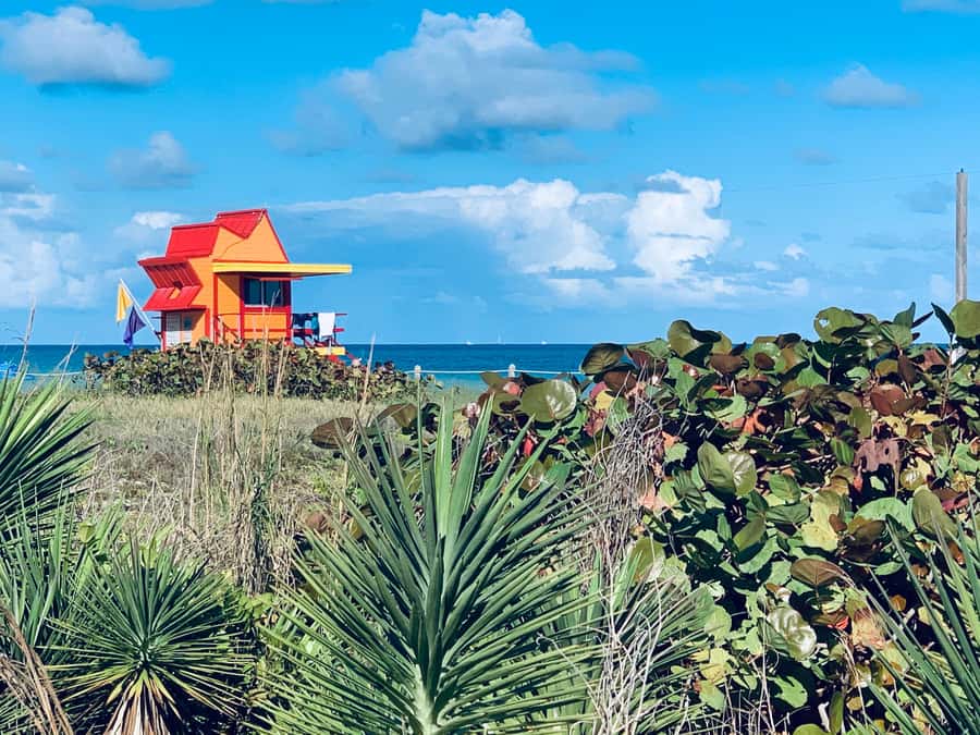 Miami Beach: 1-Hour Segway Glide - Where the Value Comes From: Price, Time, and What You Skip