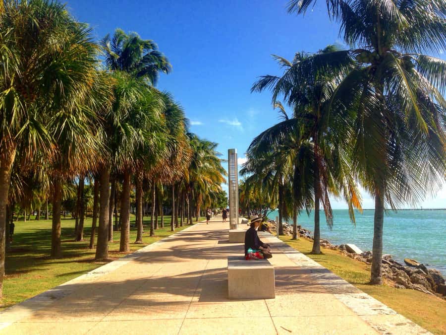 Miami Beach: 1-Hour Segway Glide - Should You Book the Miami Beach 1-Hour Segway Glide?
