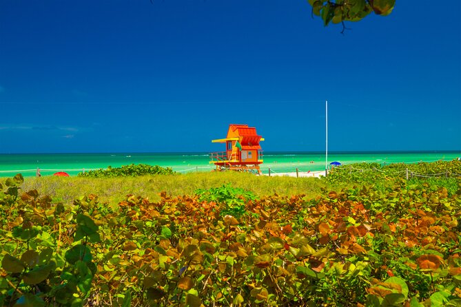 Miami Beach Art Deco & Hidden Gems Bike Tour with Local Historian - Ocean Drive: architecture with the city’s darker side