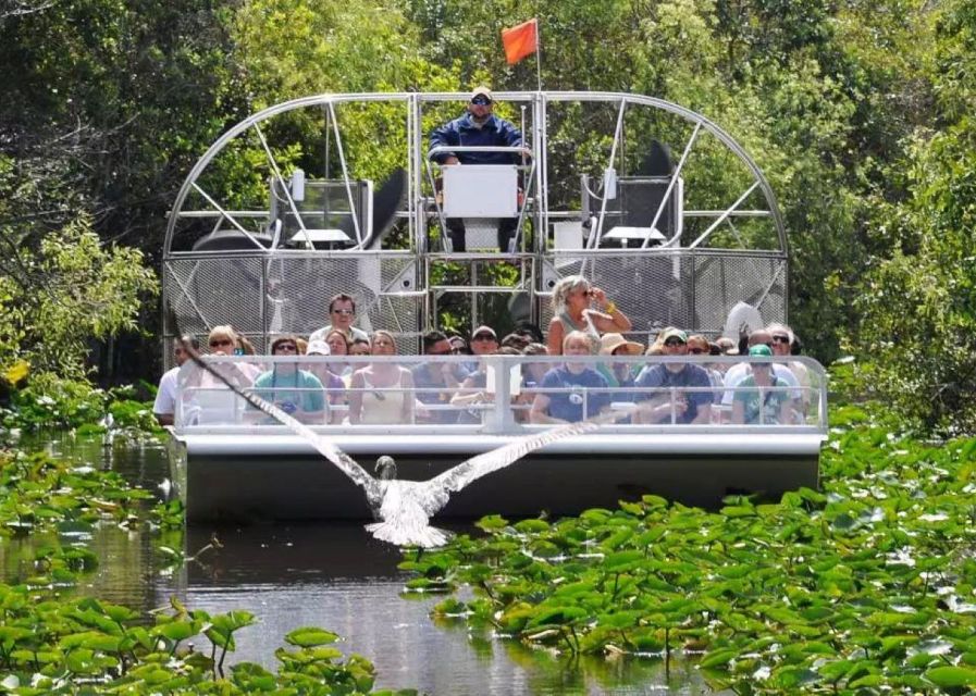 Miami Beach: Everglades Airboat Tours and Rides - After the Ride: Free Time to Explore and Spot Wildlife