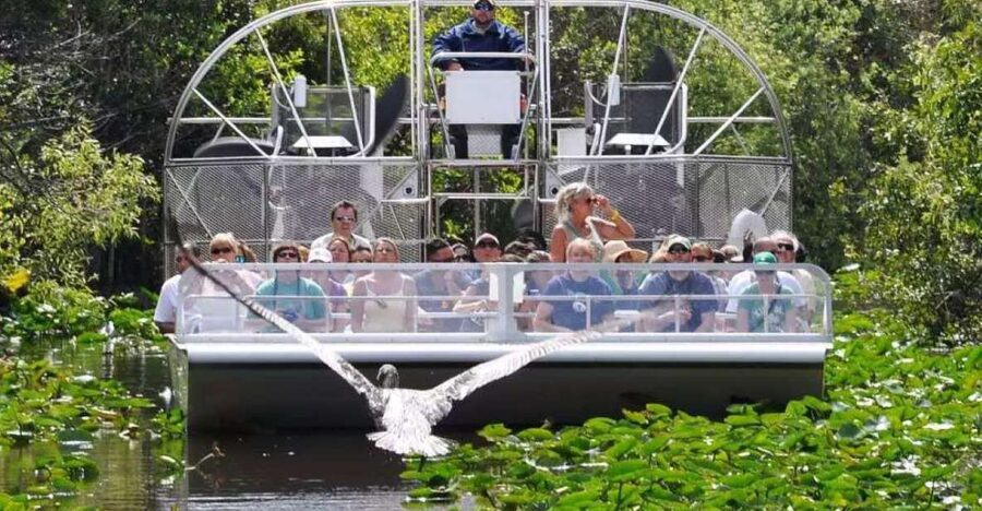 Miami Beach: Everglades Airboat Tours and Rides - Who This Tour Fits Best (And Who Might Want a Different Plan)