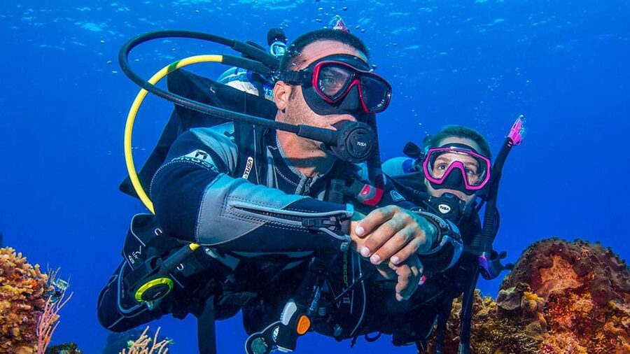 Miami Beach: Guided 2-Tank Reef and Wreck Dive Trip - Reef time in clear Miami water: what you’ll actually see