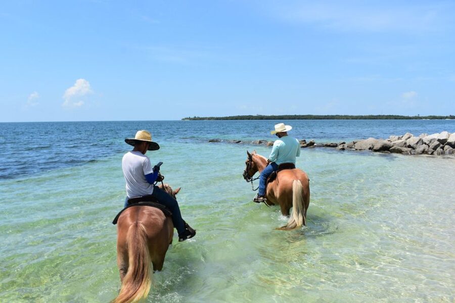 Miami: Beach Horse Ride & Nature Trail - Virginia Key Beach Park: Miami’s Beach Ride That Feels More Local
