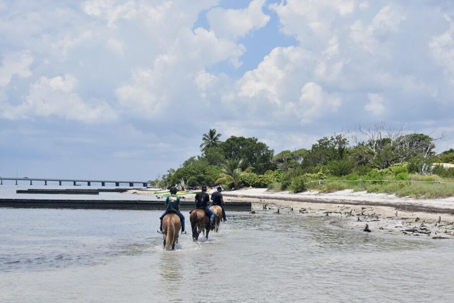 Miami: Beach Horse Ride & Nature Trail - The Ranch Start: Gear Up, Meet Your Horse, and Get Ready