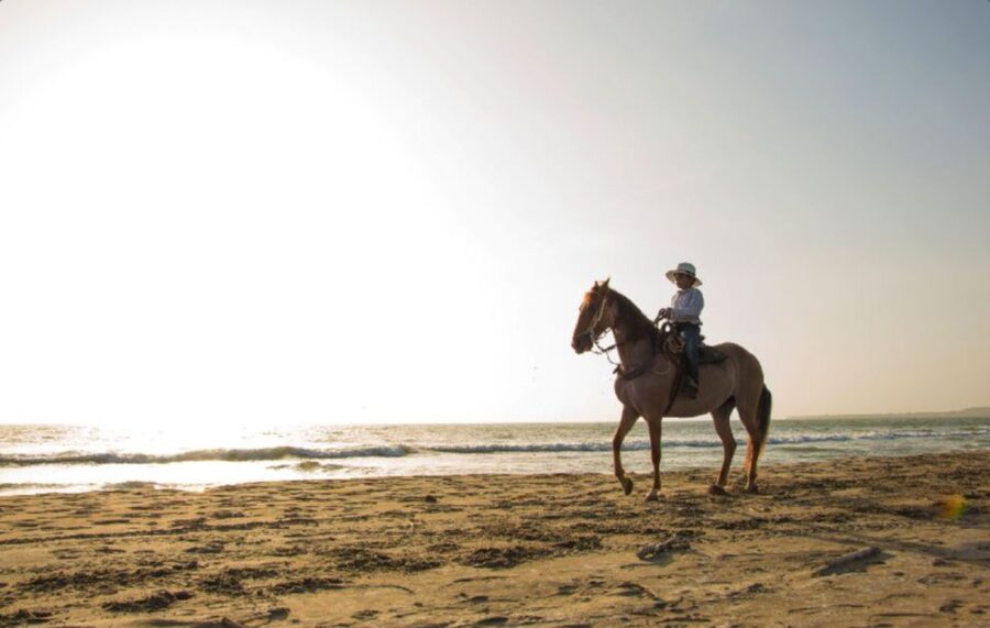 Miami: Beach Horse Ride & Nature Trail - Beach Time and Photos: The Moment It Turns Cinematic