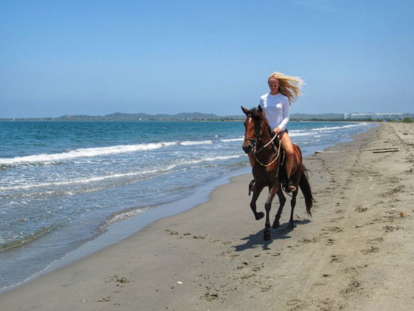 Miami: Beach Horse Ride & Nature Trail - Guides and Training Style: Calm Coaching, Not Chaos