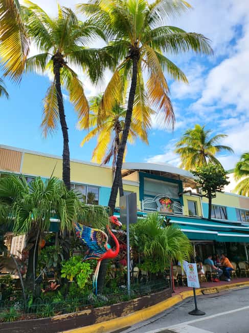 Miami Beach/ Miami: private city tour - Wynwood Arts District: the 40-minute walk that makes street art click