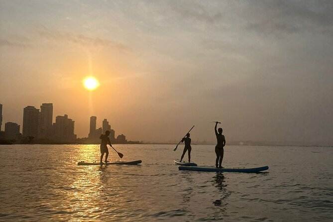 Miami Beach Paddleboard Rental with Instruction - Gear and Safety: What’s Included and What You Need to Bring