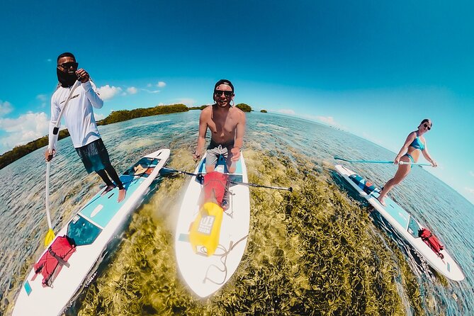 Miami Beach Paddleboard Rental with Instruction - Price and Value: Is $19 for a Lesson and Rental Actually Worth It?