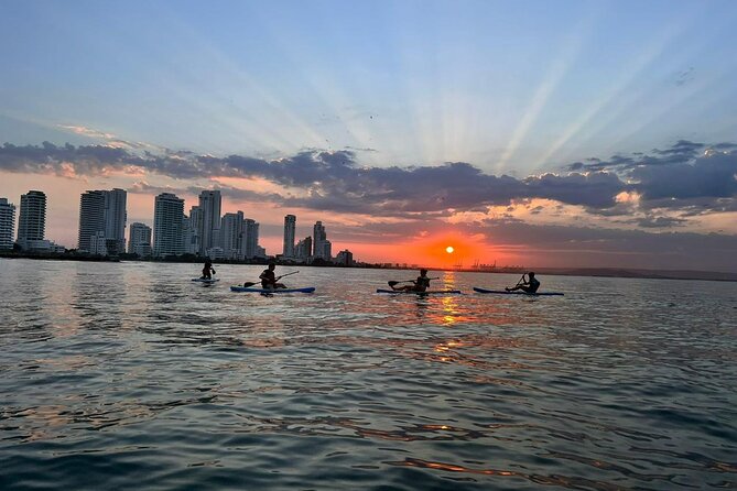 Miami Beach Paddleboard Rental with Instruction - Group Size: Why Max 15 Matters for Coaching