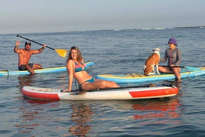 Miami Beach Paddleboard Rental with Instruction - The Short Lesson That Makes Rentals Feel Fair