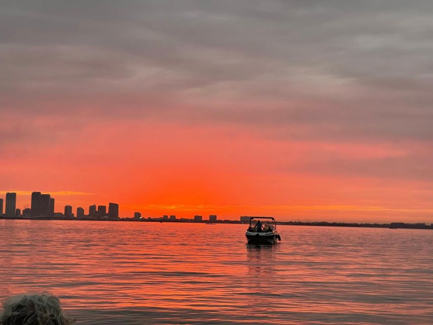 Miami Beach: Spectacular Sandbar & Skyline Boat Tour - Key Highlights at a Glance