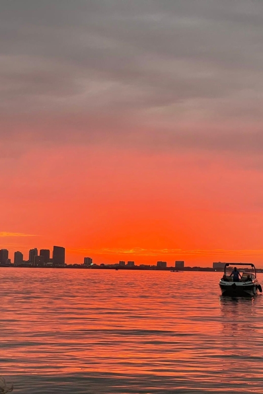 Miami Beach: Spectacular Sandbar & Skyline Boat Tour - Sunset (and Night Lights) on Biscayne Bay: Timing Tips That Make the Tour